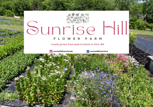 Sunrise Hill Flower Farm
