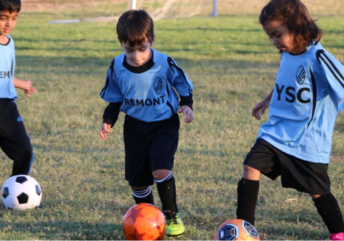 Fremont Youth Soccer Club Summer Camp