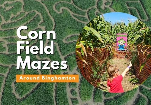 Corn Mazes around Binghamton Fall Family Fun