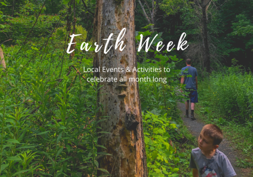 Events to Mark Earth Week in the Berkshires