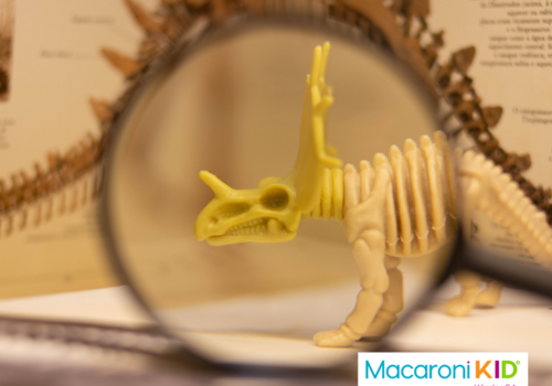 Magnified toy triceratops skeleton in front of book with drawing of skeleton