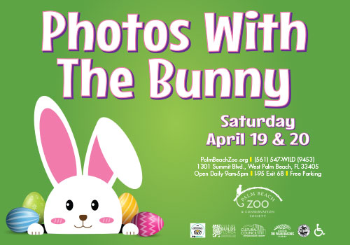 Photos with the Bunny at the Palm Beach Zoo