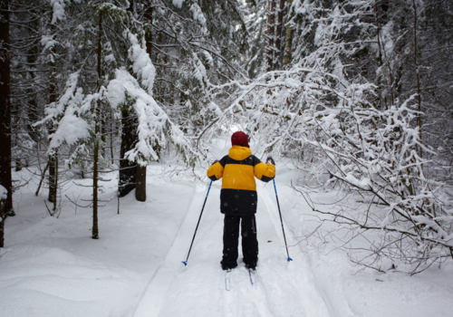 cross country skiing