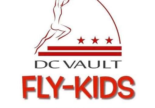 DC Vault Logo