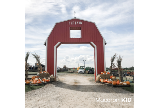 The Farm Dobson Entrance - Barn with Pumpkins