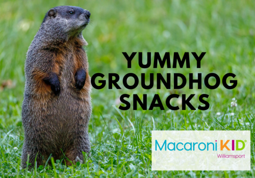 Groundhog Day Snacks, Fun Snacks, Healthy, Groundhogs Day