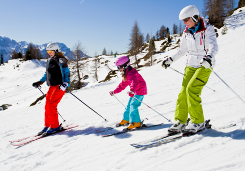 Ski family