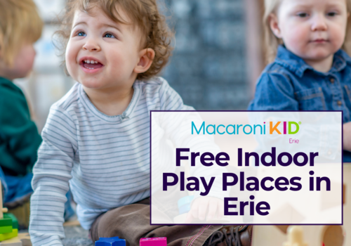Free indoor play places in Erie PA