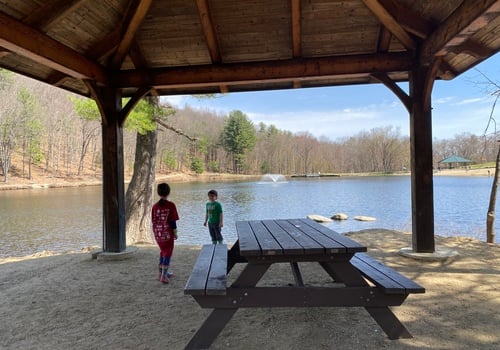 Two children standing near a picnic table under a pavilion that overlooks a pond.