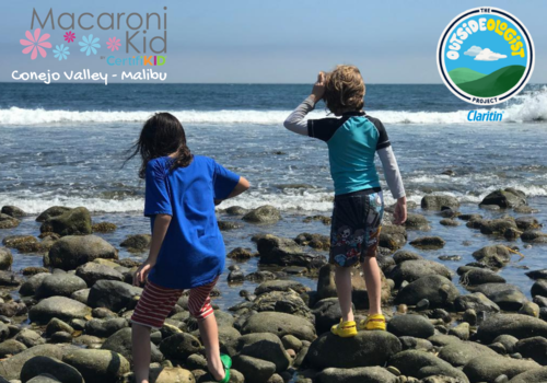 Outsideologist by Claritin boys exploring Malibu Lagoon