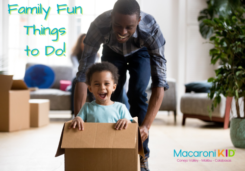 Family Fun Things to Do Dad pushing son in a box