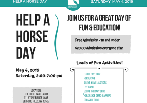 Help a Horse Day 2019