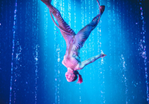 cirque italia, water circus