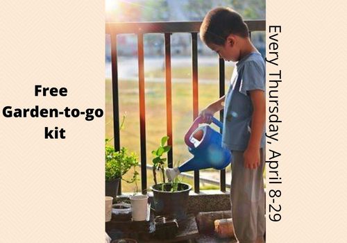 boy watering plants, free garden to go kit