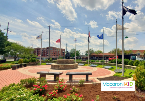 Image of a small park with Flags and Statue of a Soldier in Roselle IL