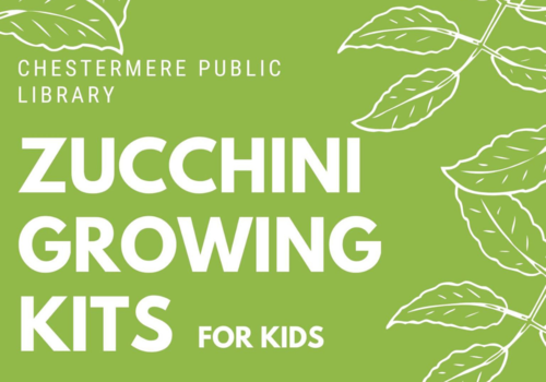Zucchini Growing Kits for Kids