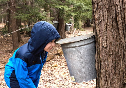 Asbury Woods Maple Fest