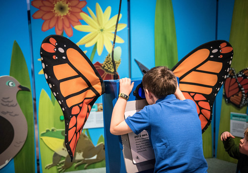 Child using monarch butterfly viewfinder at Wild Kratts Creature Power Exhibit