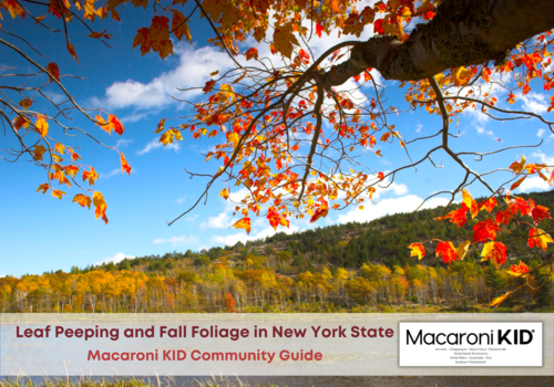 Photo of colorful tree Macaroni KID Community Guide