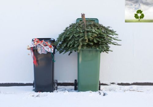 Where can I recycle Christmas Tree