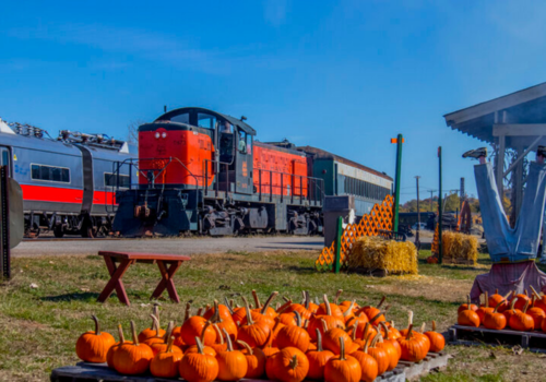 Pumpkin Trains