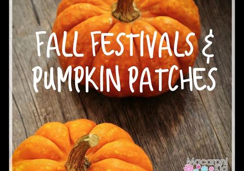 Fall Festivals