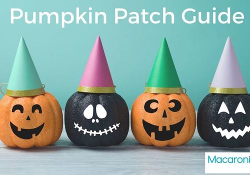 Pumpkin Patch Guide