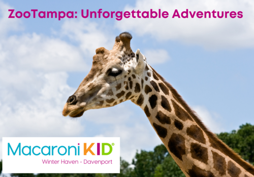 ZooTampa: Unforgettable Adventures