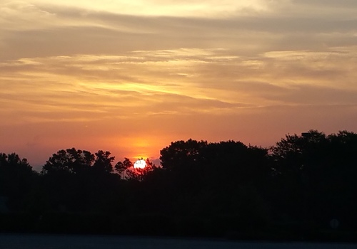 Sunrise over tree line in Hendricks County Indiana