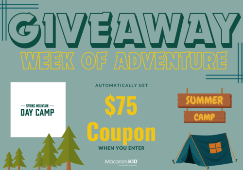 spring mountain day camp giveaway