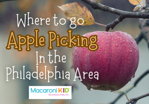 photo of apple with where to go apple picking text