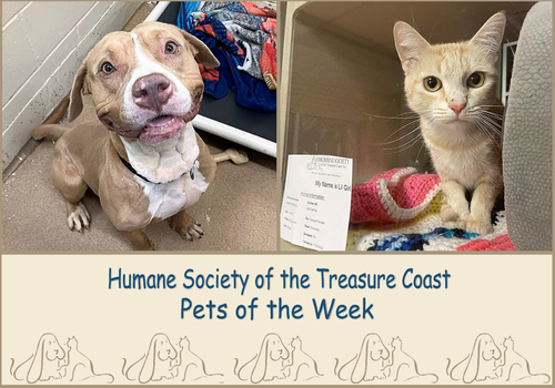 HSTC Macaroni Pets of the Week,Chaos and Lil Girl