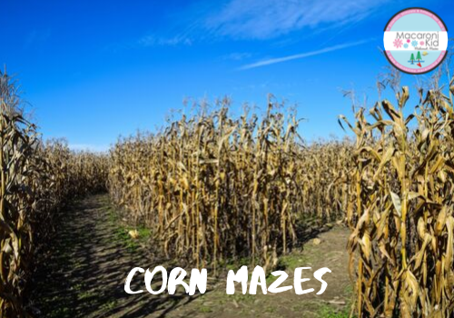 maine corn mazes