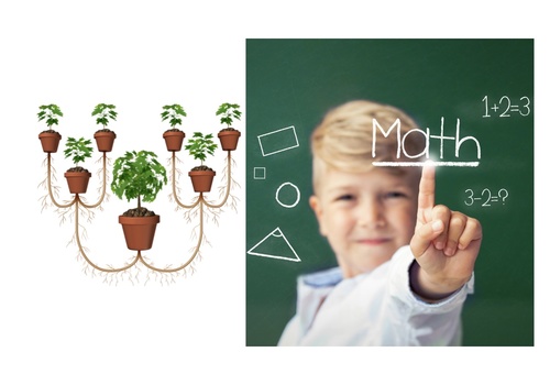 Plants, Multiplication and Experiments