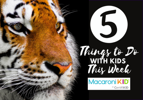 5 things to do this week with tiger image