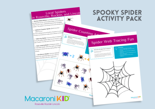 Roseville Rocklin Lincoln Spider activity pack