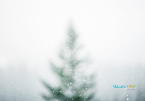 fir tree against snowy background