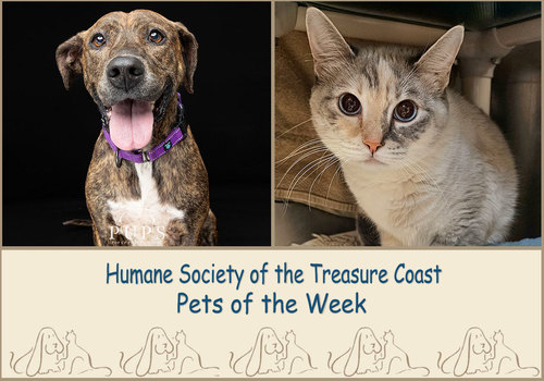 HSTC Macaroni Pets of the Week, Lola and Spooky