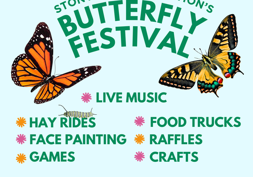 Butterfly Festival