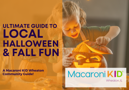 Fall fun guide