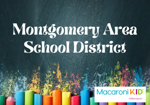 Montgomery Area School District, School Information