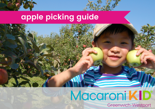 Apple Picking Guide