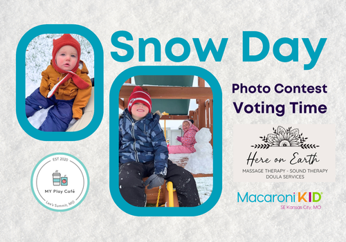 It's time to vote for your favorite snow day photo