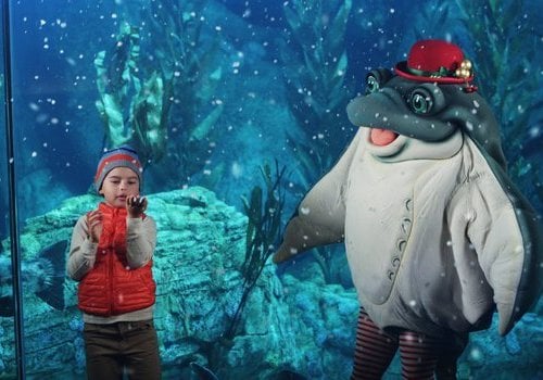Aquarium Holidays