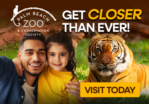 Palm Beach Zoo & Conservation Society