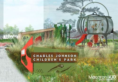 A drawing of a redesigned park in Monroe, LA. The structure of the playground equipment is shaped like a gumbo pot.