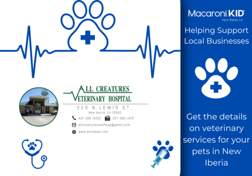 All Creature Veterinary Hospital Logo with white and blue pet car images