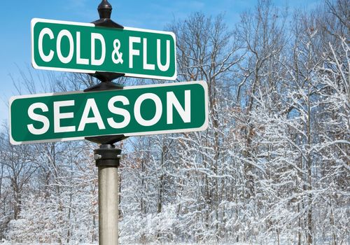 Street signs featuring 'Cold & Flu Season' against a backdrop of snow-covered trees.