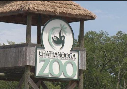 chattanooga zoo 