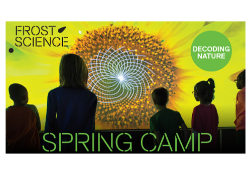 Frost Science Spring Camp 500x350 